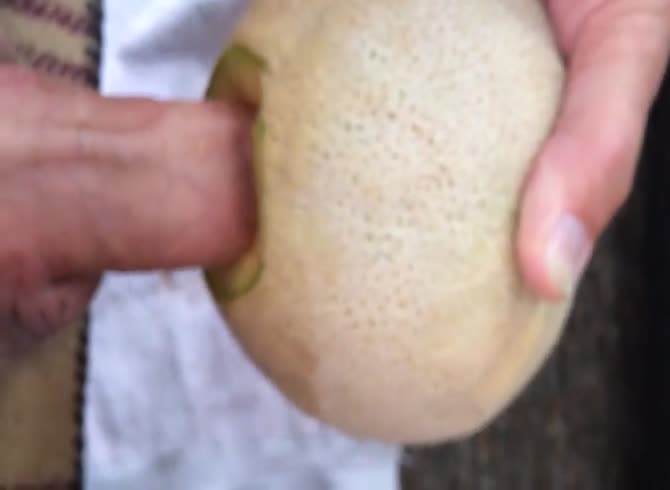 Video :Nasty dude fucking a melon fruit with his dick